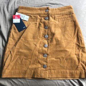 Wilfred free golden amber 00